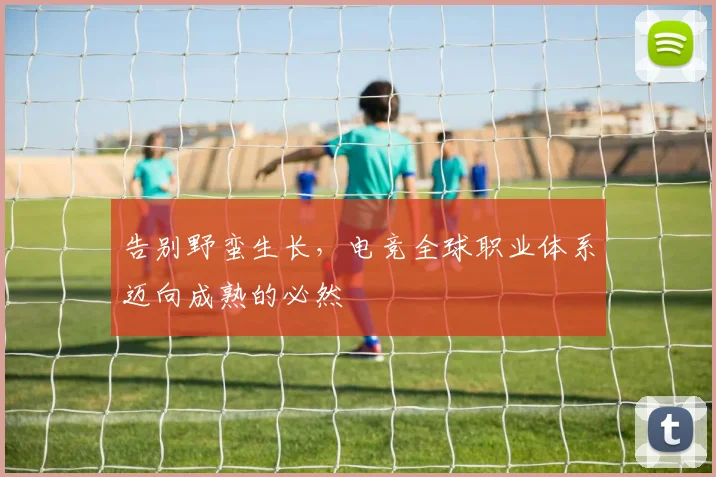 告别野蛮生长，电竞全球职业体系迈向成熟的必然