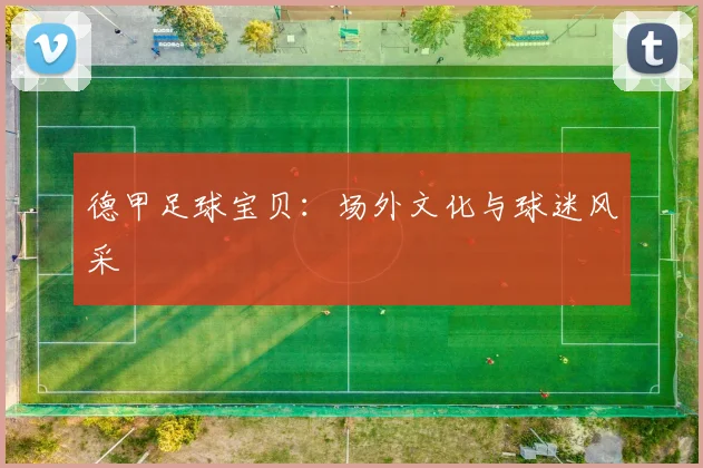 德甲足球宝贝：场外文化与球迷风采