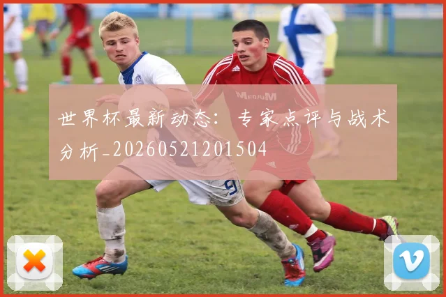 世界杯最新动态：专家点评与战术分析_20260521201504