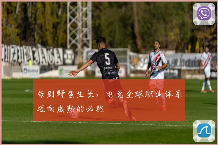 告别野蛮生长,电竞全球职业体系迈向成熟的必然